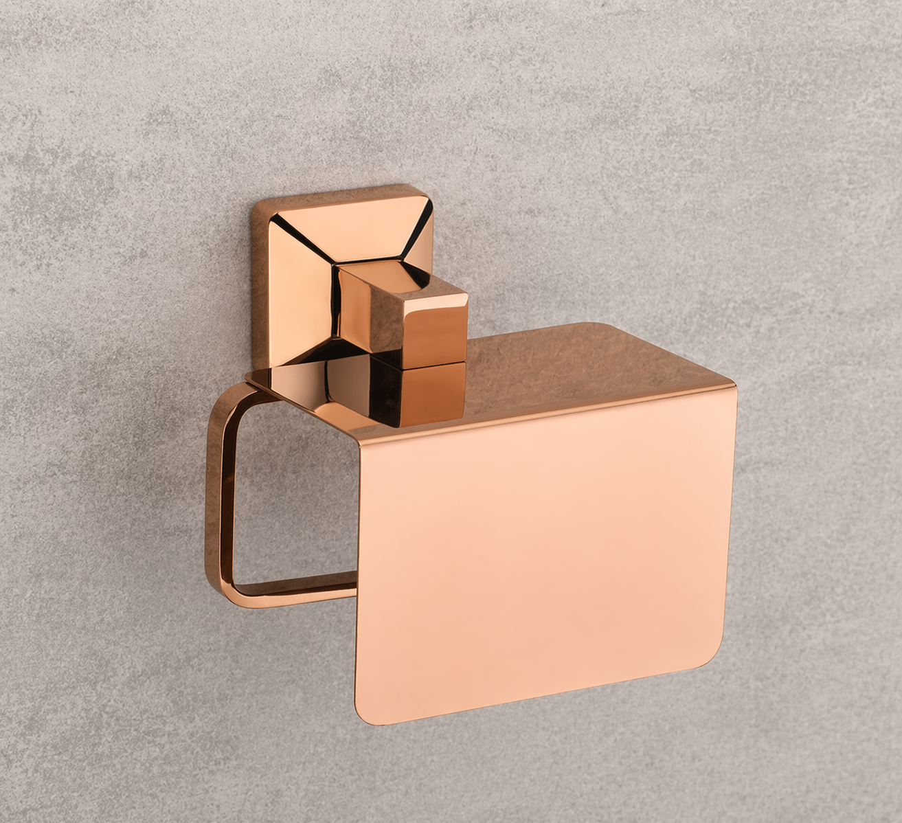 TOILET PAPER HOLDER TV 501