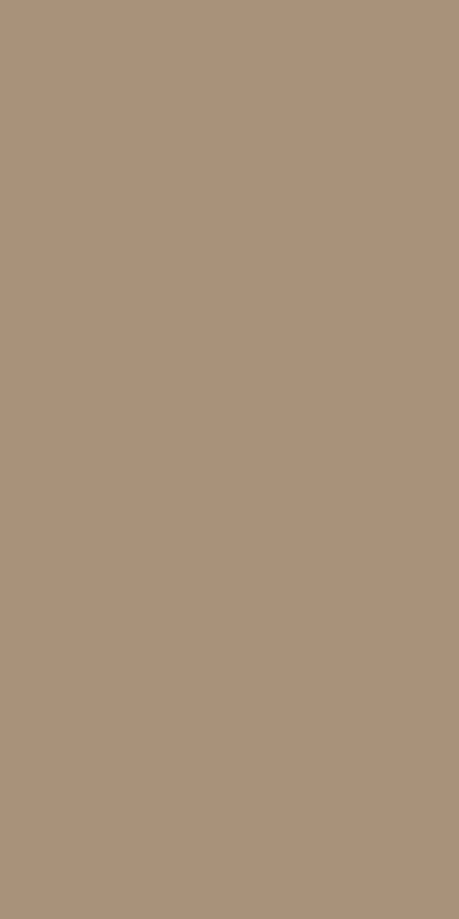 MUD ASH BM021