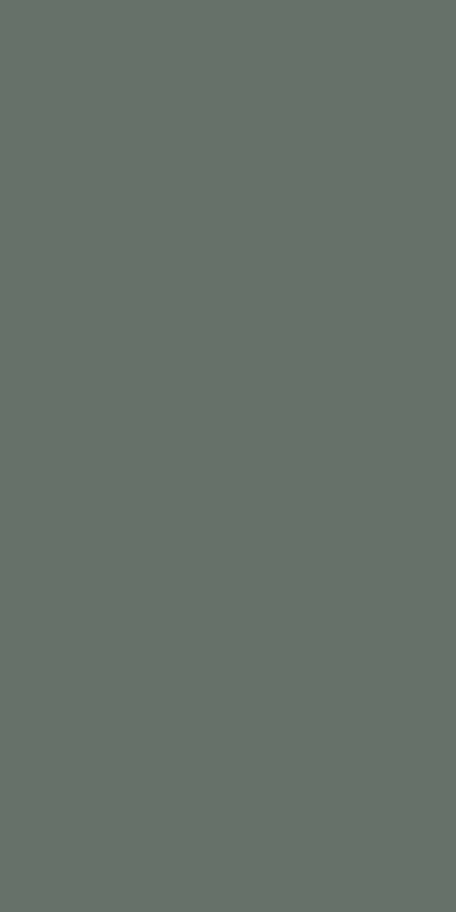EDGE BANDING-OILVE JUANE