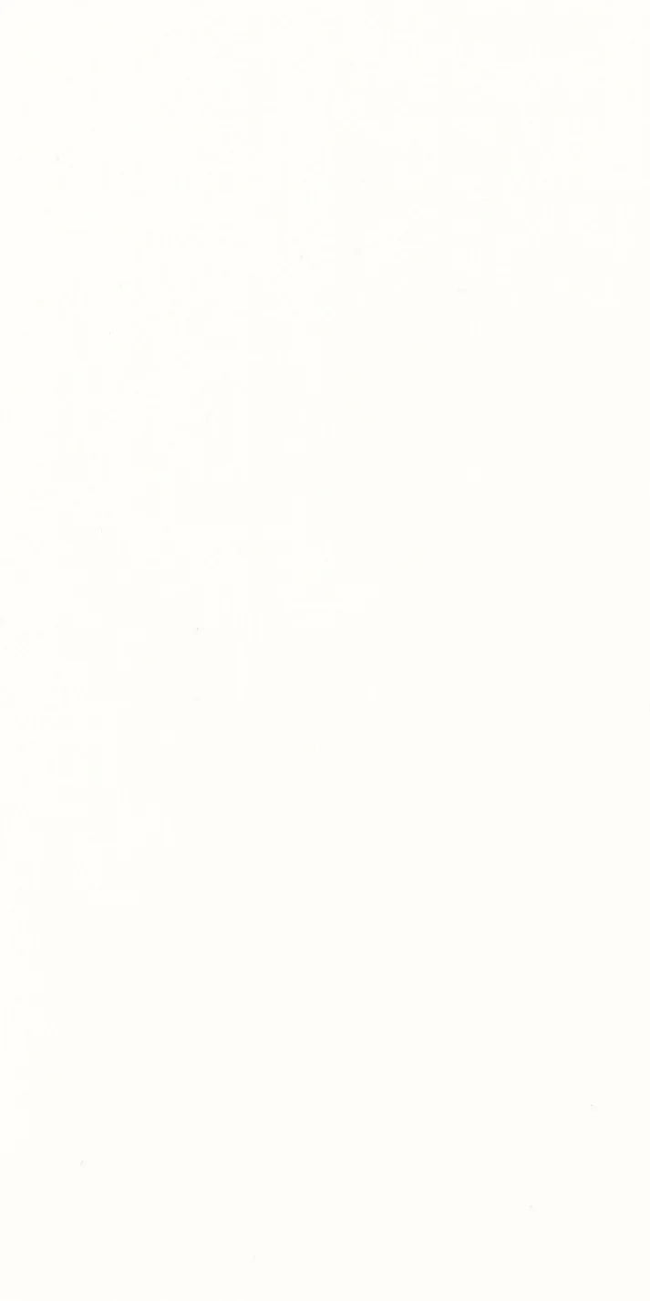 EDGE BANDING-FRENCH WHITE
