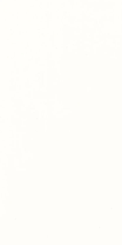 EDGE BANDING-FRENCH WHITE